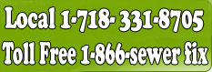 Local And Toll Free